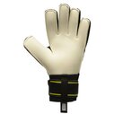 Aquaspine Goalkeeper Gloves