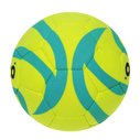 Pro Indoor Football