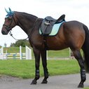 Prime Ombre Dressage Saddle Pad - Ocean Reef