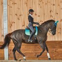 Prime Ombre Dressage Saddle Pad - Ocean Reef
