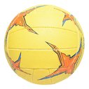 Flair Netball